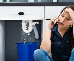 About Emergency plumbing pros Cannon Falls, MN